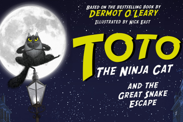 Toto The Ninja Cat - Eastbourne