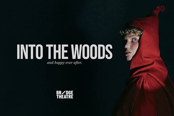 Into the Woods thumbnail