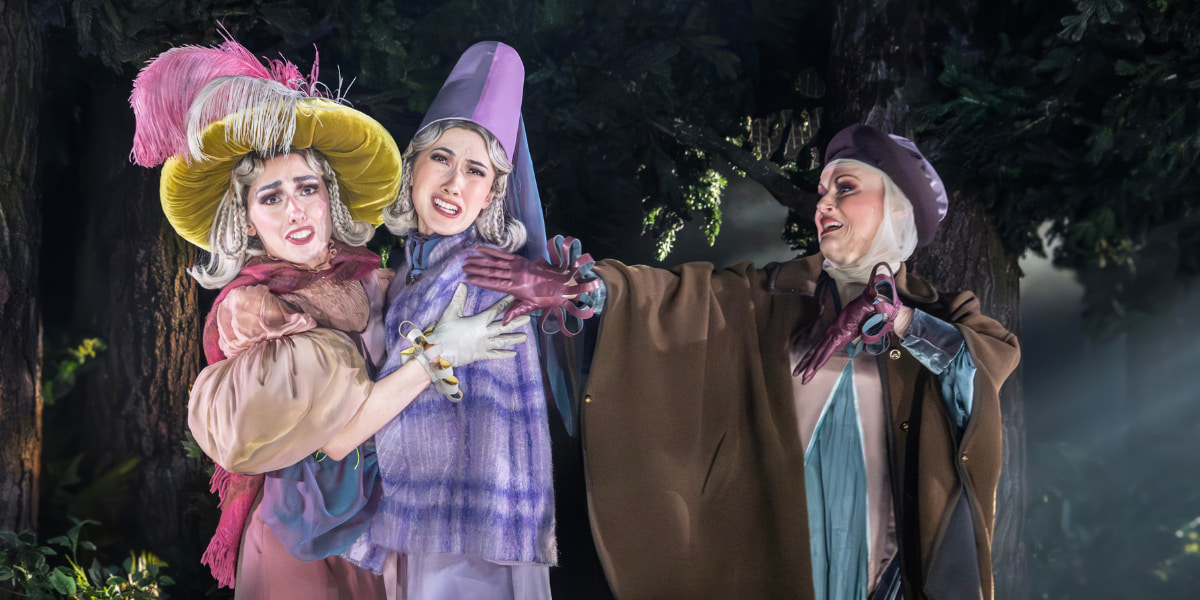 Into The Woods gallery image