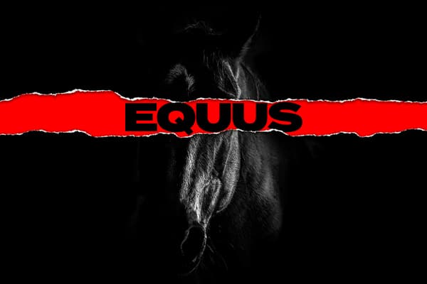Equus thumbnail