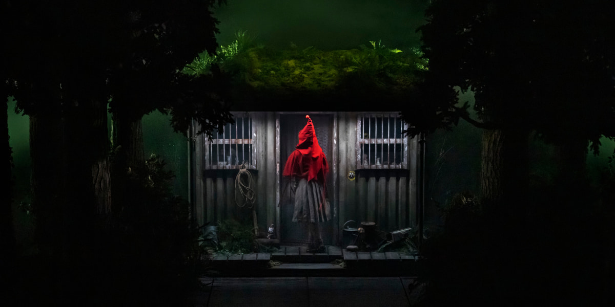 Into The Woods gallery image